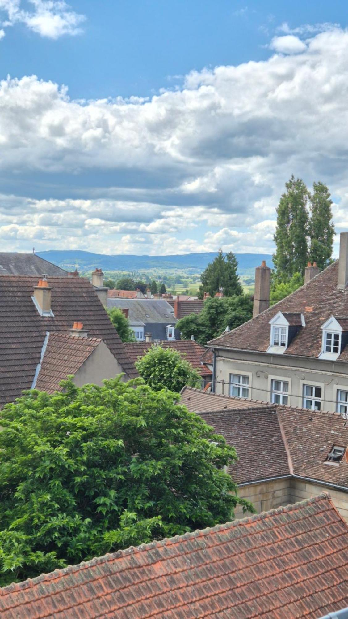 Appartamento L'Arbre Voyageur Autun Esterno foto